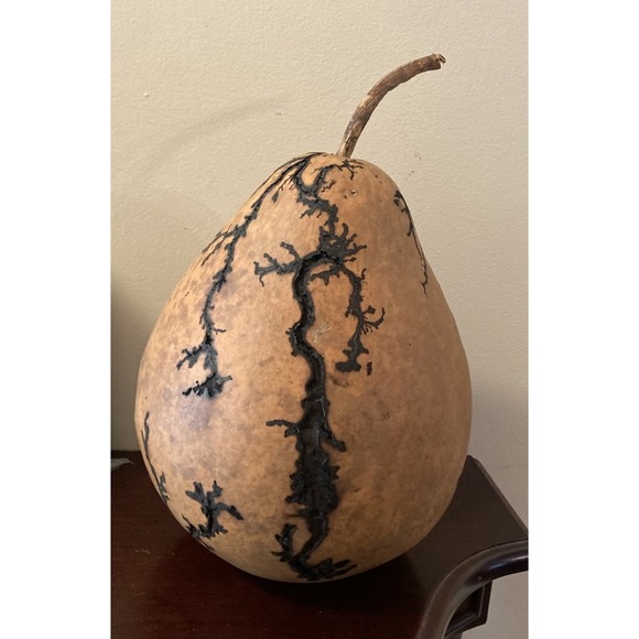 Fractal Gourd Burned Art‎ Large Lightning Pattern Lichtenberg Spooky - Picture 2 of 6